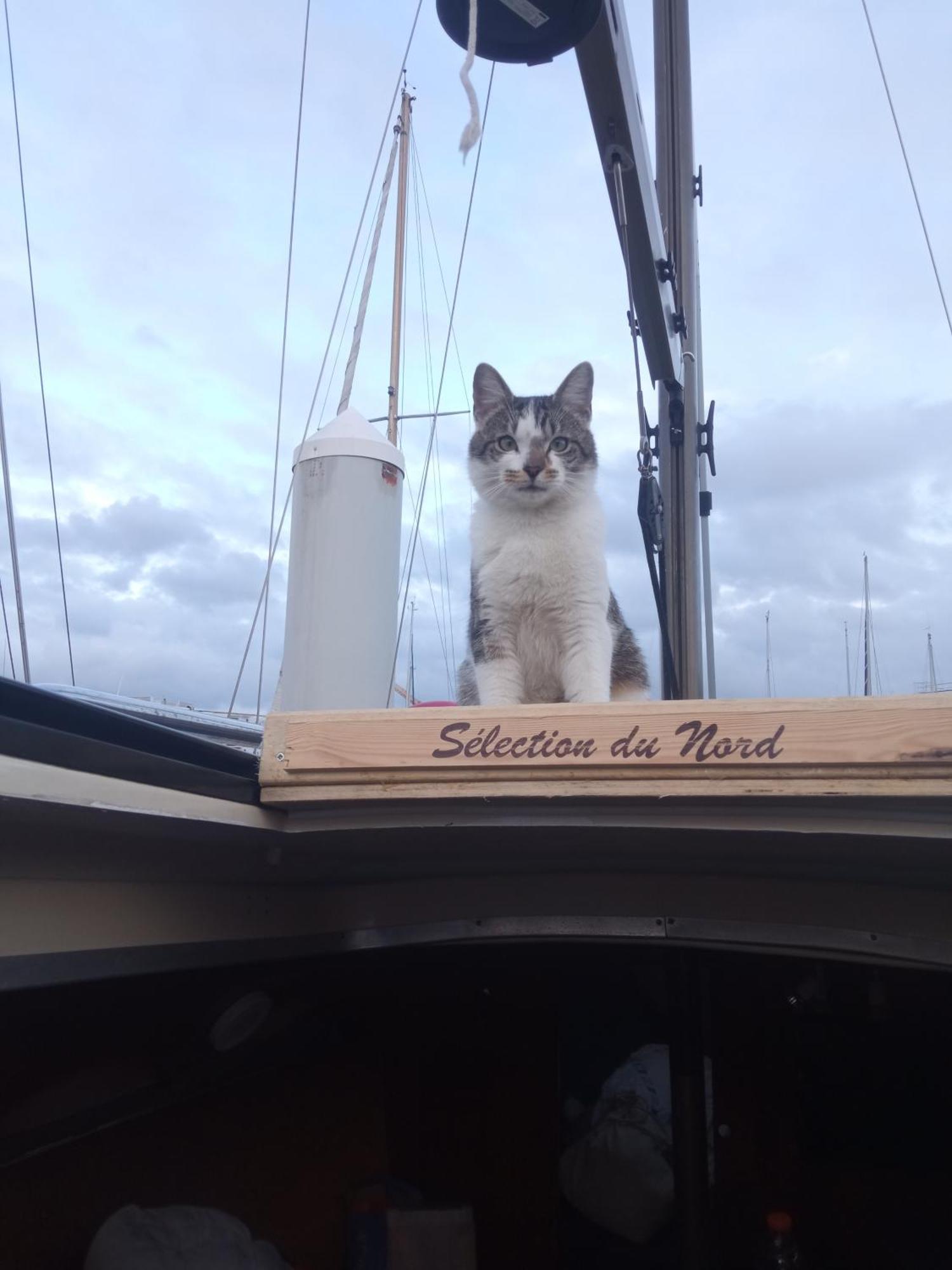 Bateau-hôtel Miraflores